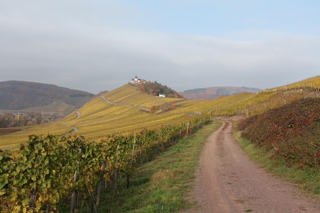 Weingut Pension Gibbert-Pohl Briedel Esterno foto