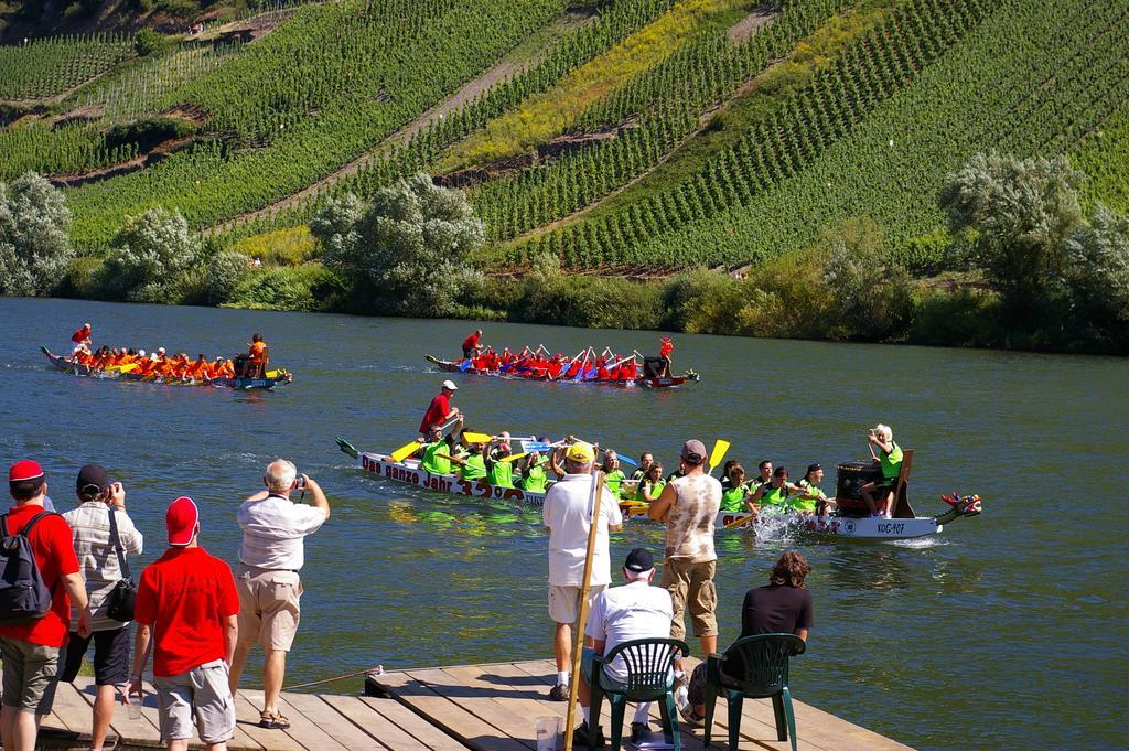 Weingut Pension Gibbert-Pohl Briedel Esterno foto