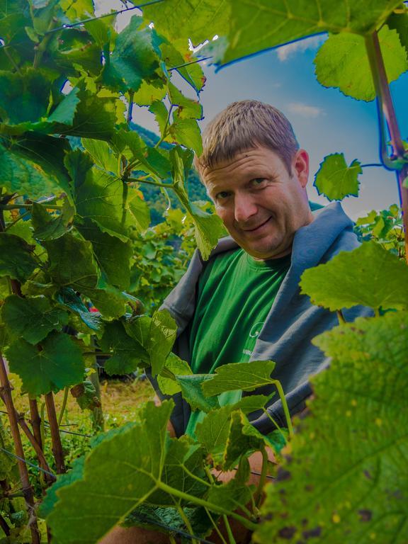 Weingut Pension Gibbert-Pohl Briedel Esterno foto