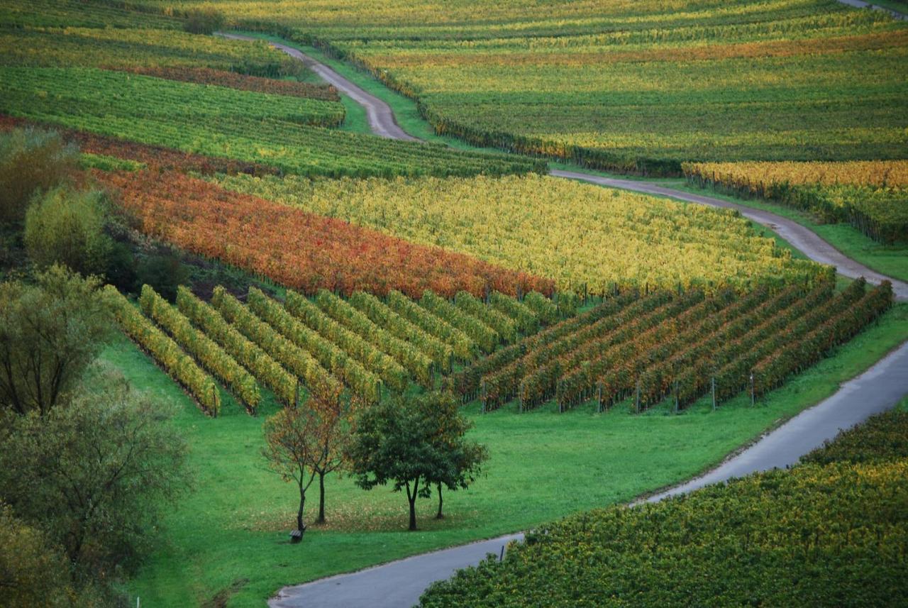 Weingut Pension Gibbert-Pohl Briedel Esterno foto