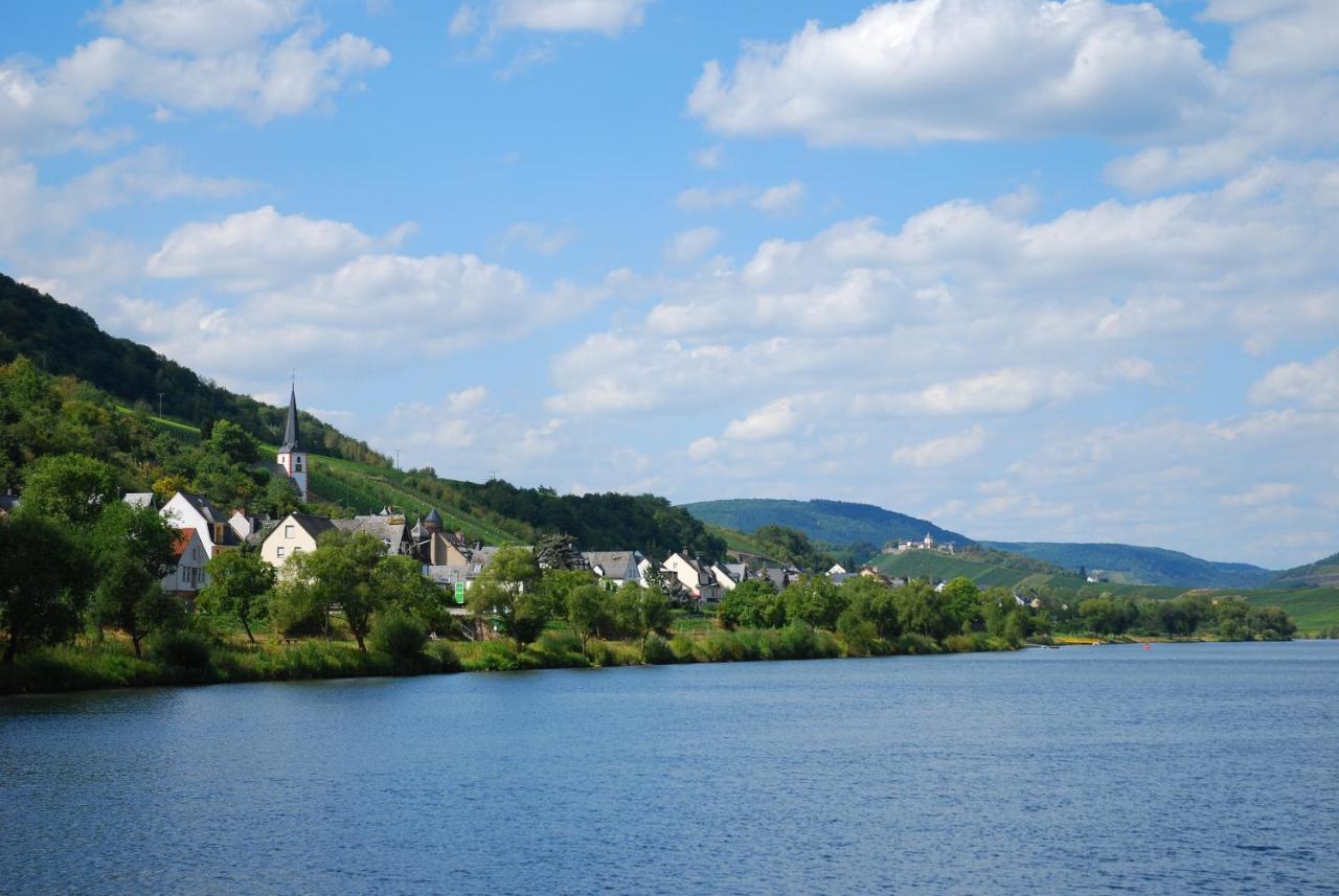 Weingut Pension Gibbert-Pohl Briedel Esterno foto