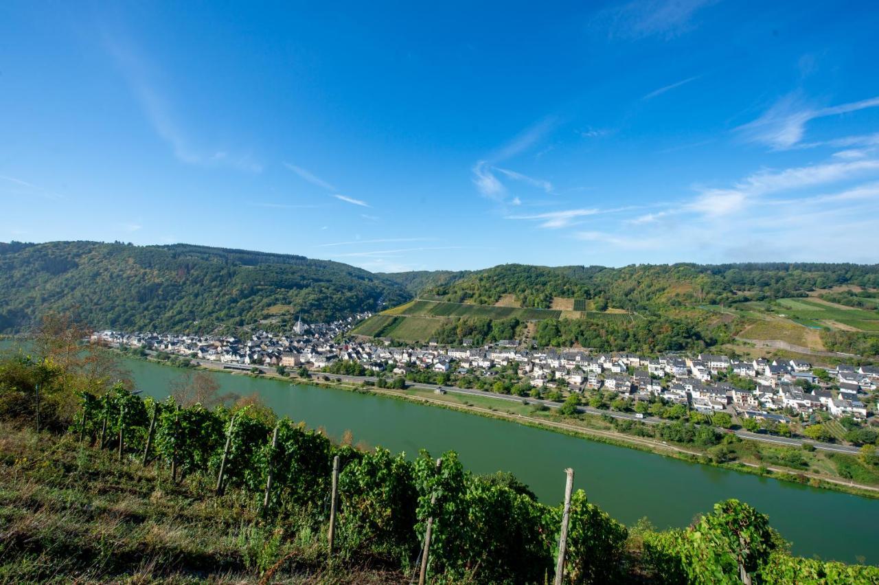 Weingut Pension Gibbert-Pohl Briedel Esterno foto